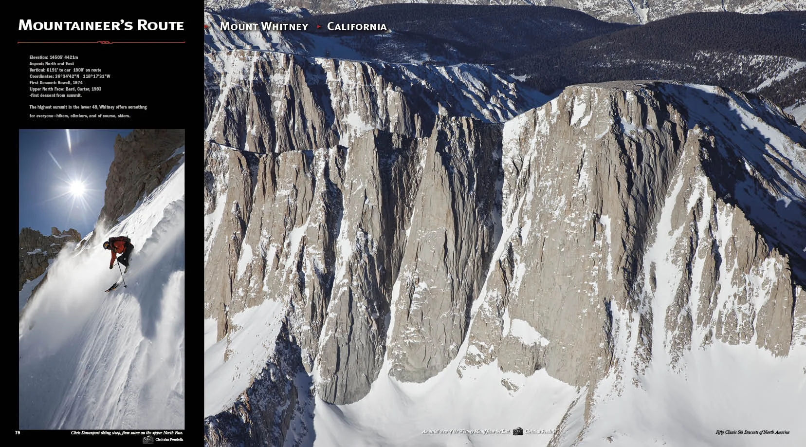 Whitney 50 CLASSICS FOR WEB JPGS44.jpg