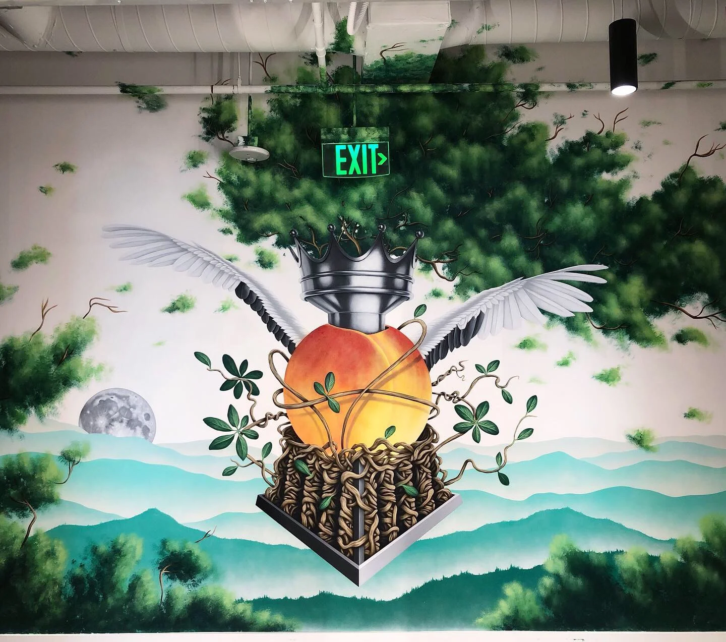 9942B91A-0610-4153-963C-3F455E9BFE48 2.JPG