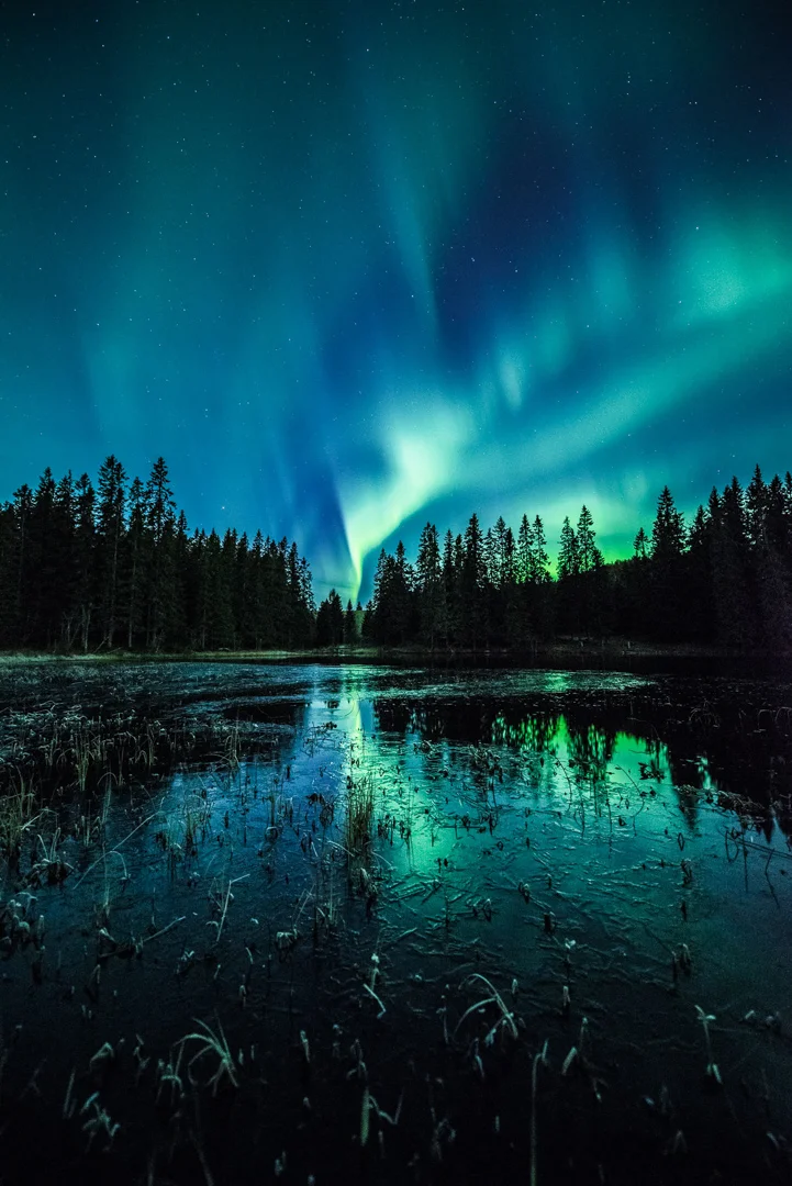 Nordlys29.jpg