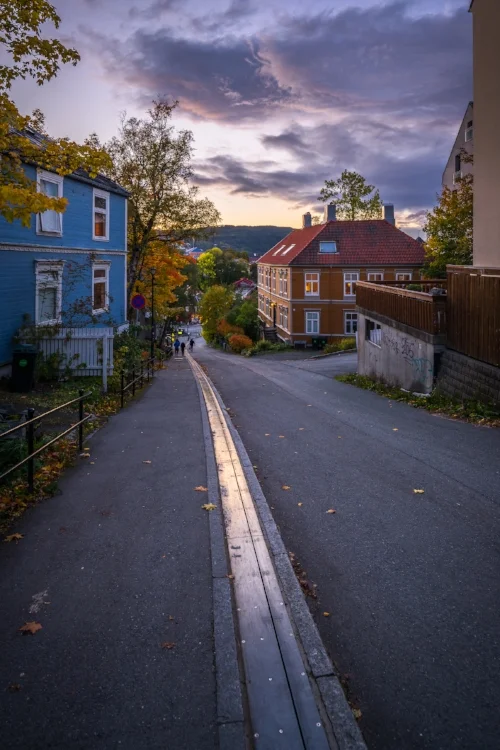 Bilde Trondheim Høst