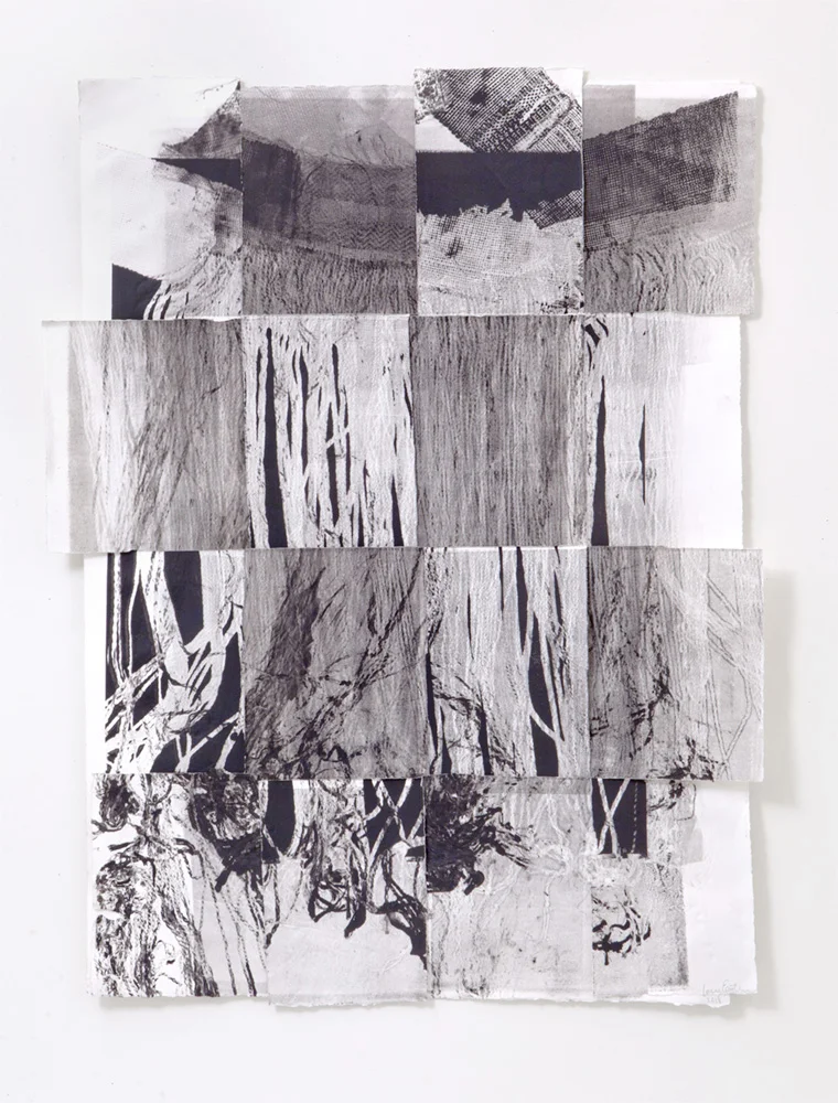 Untitled 2, Etching, 14 x 30 inches, 2018