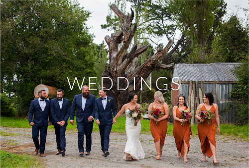 wedding photography.png