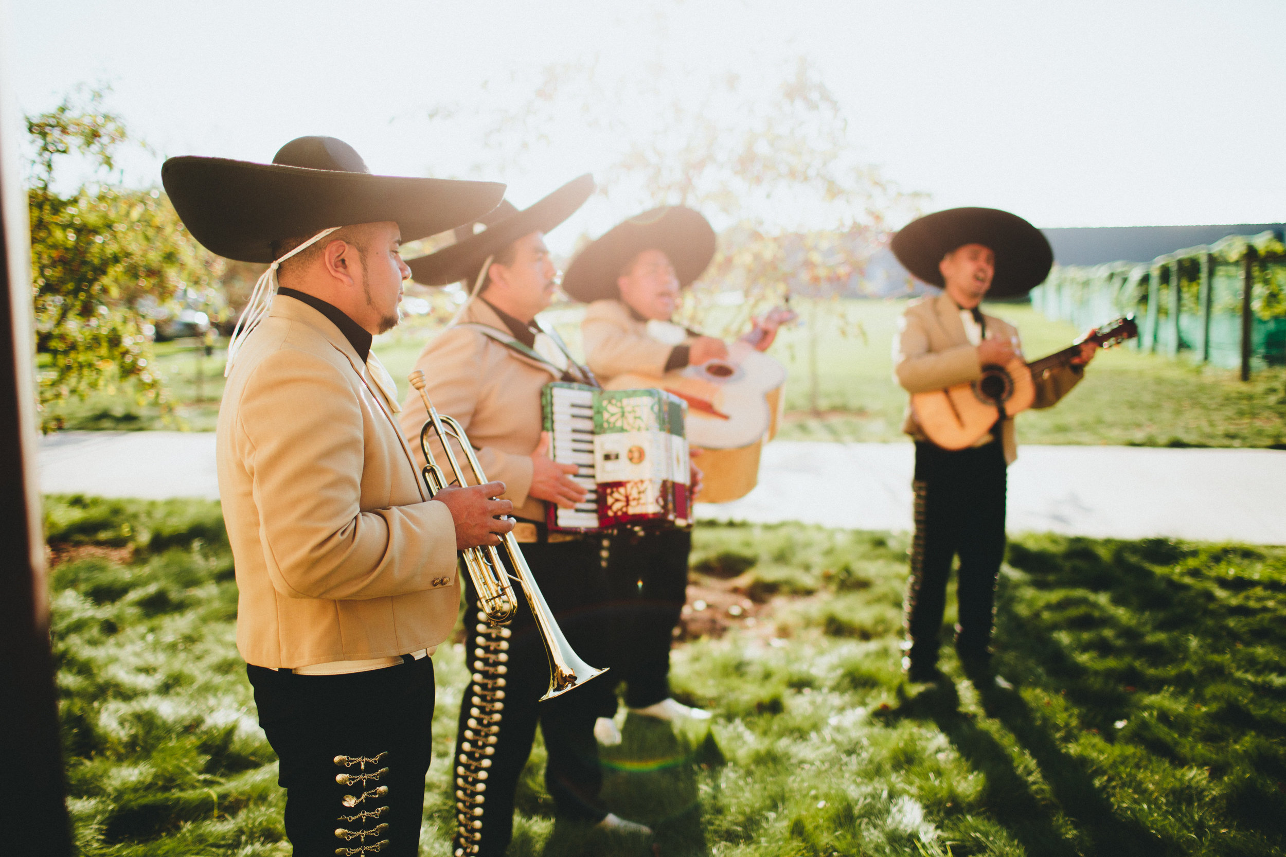 Villa Bellezza Wedding