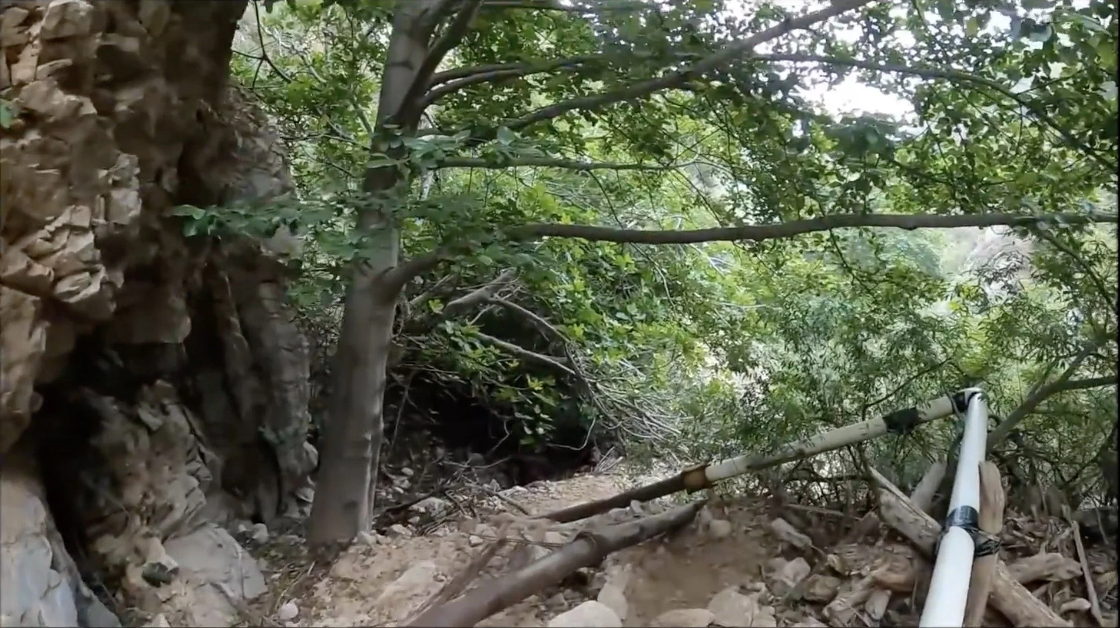MAIDENHAIR FALLS SITE 2024 LOOKING DOWNSTREAM (CREDIT: MIKE ON THE TRAIL)