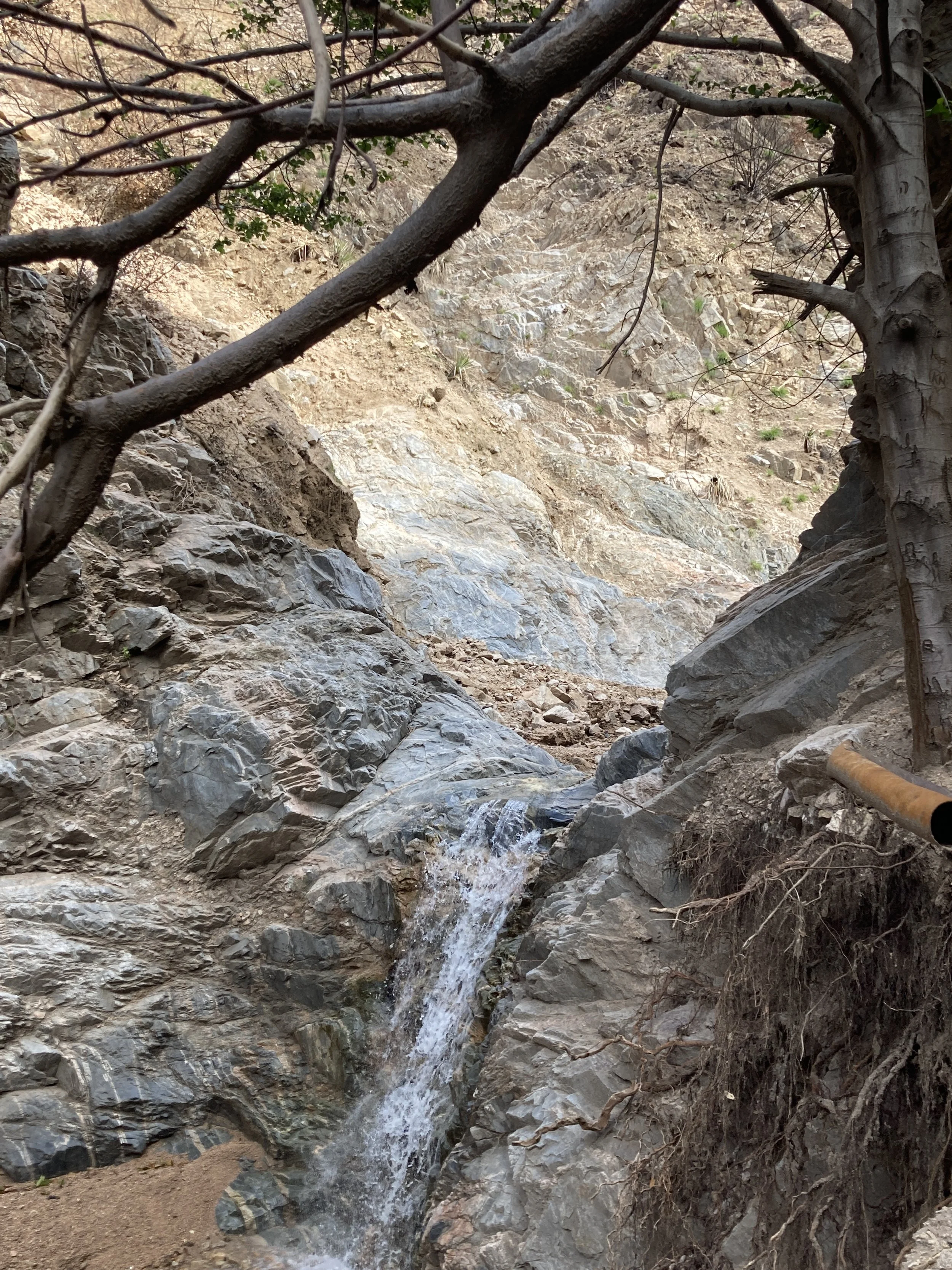 MAIDENHAIR FALLS 2025