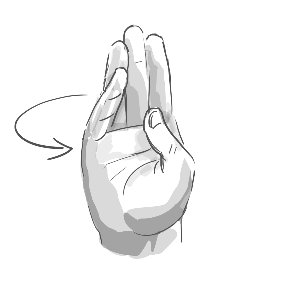 Hand flip.png