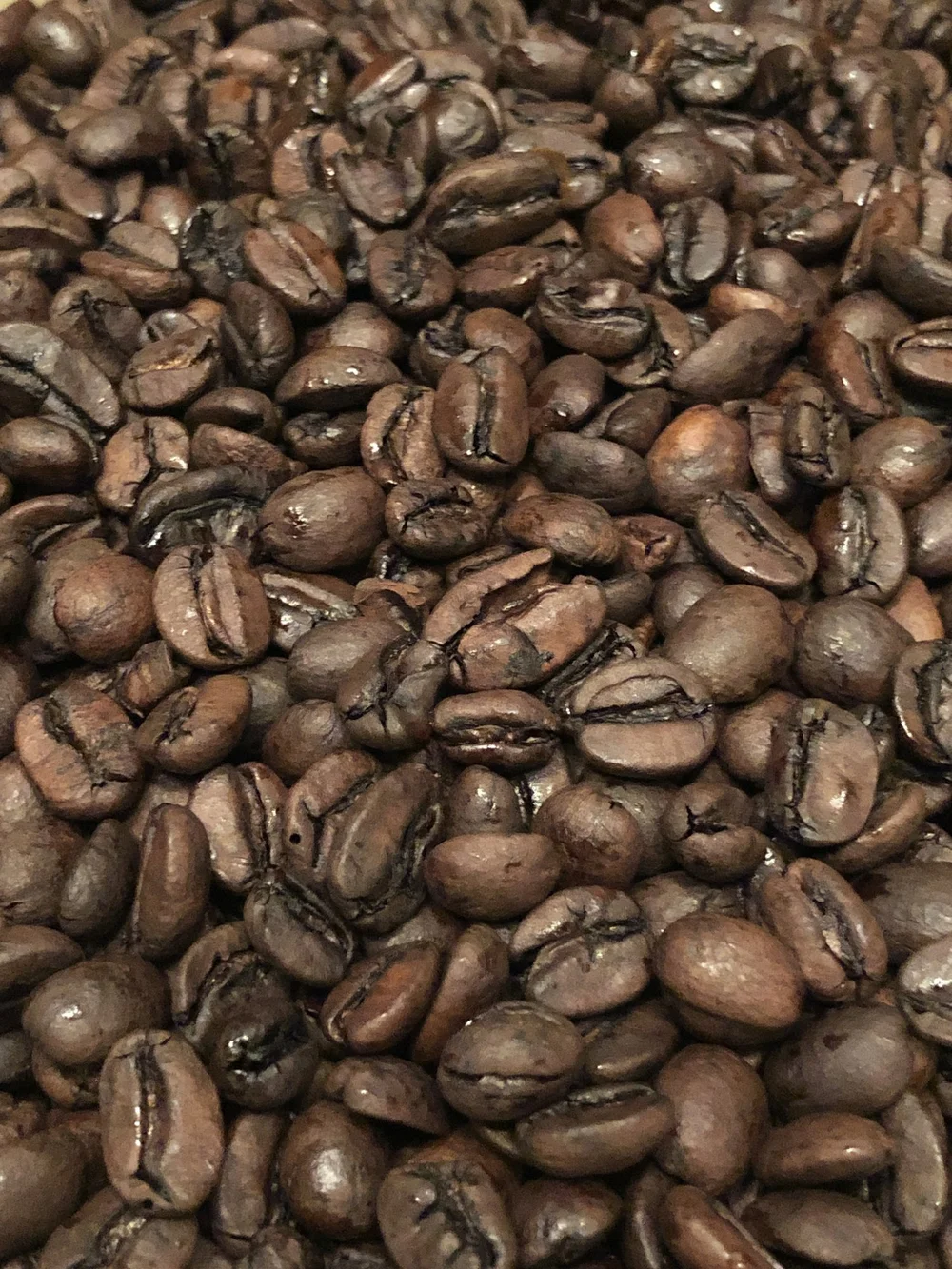 Decaf Colombia (SWP) (5lb BAG) — Copperfox Coffee Roasters