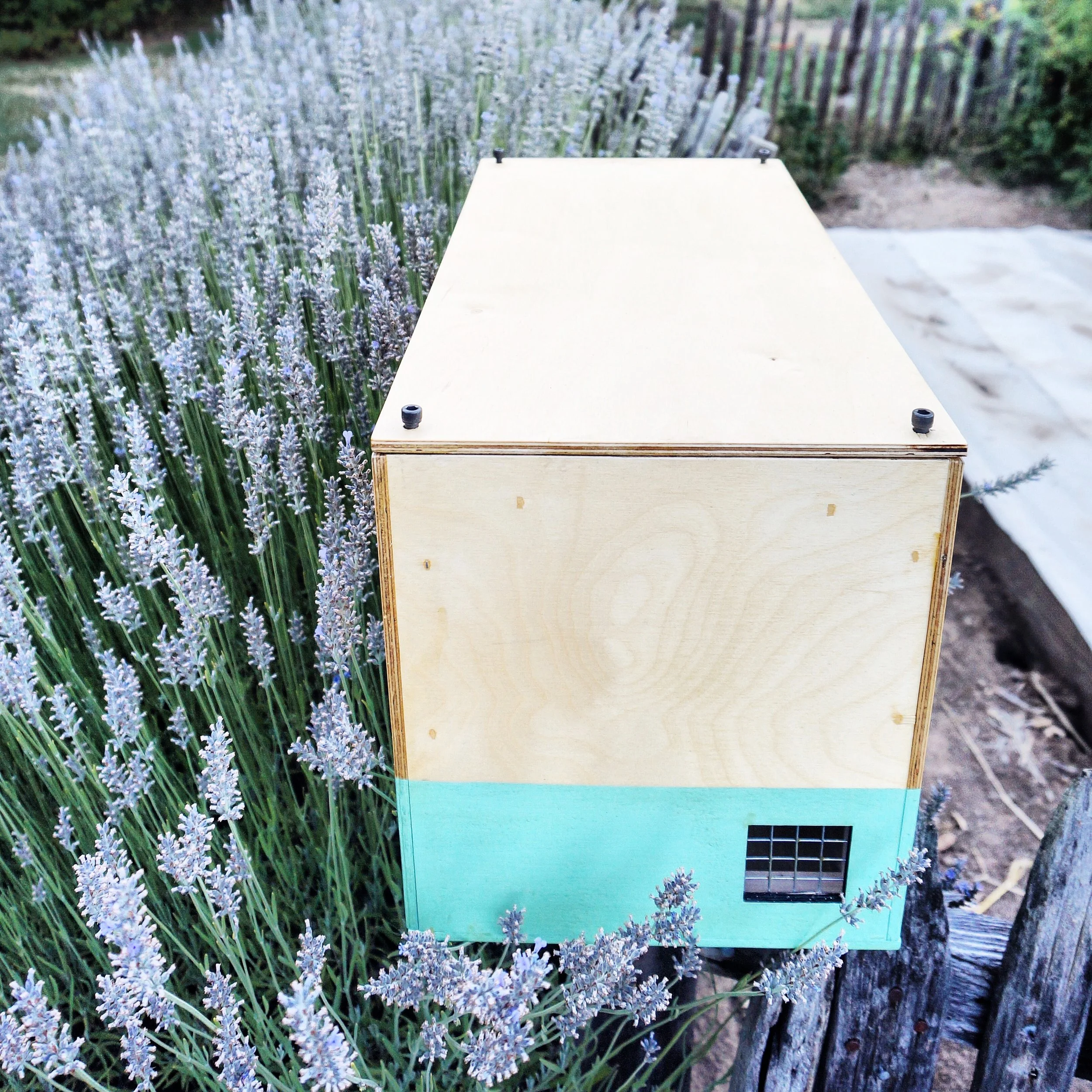 Swarm Box, "Bee A Keeper"