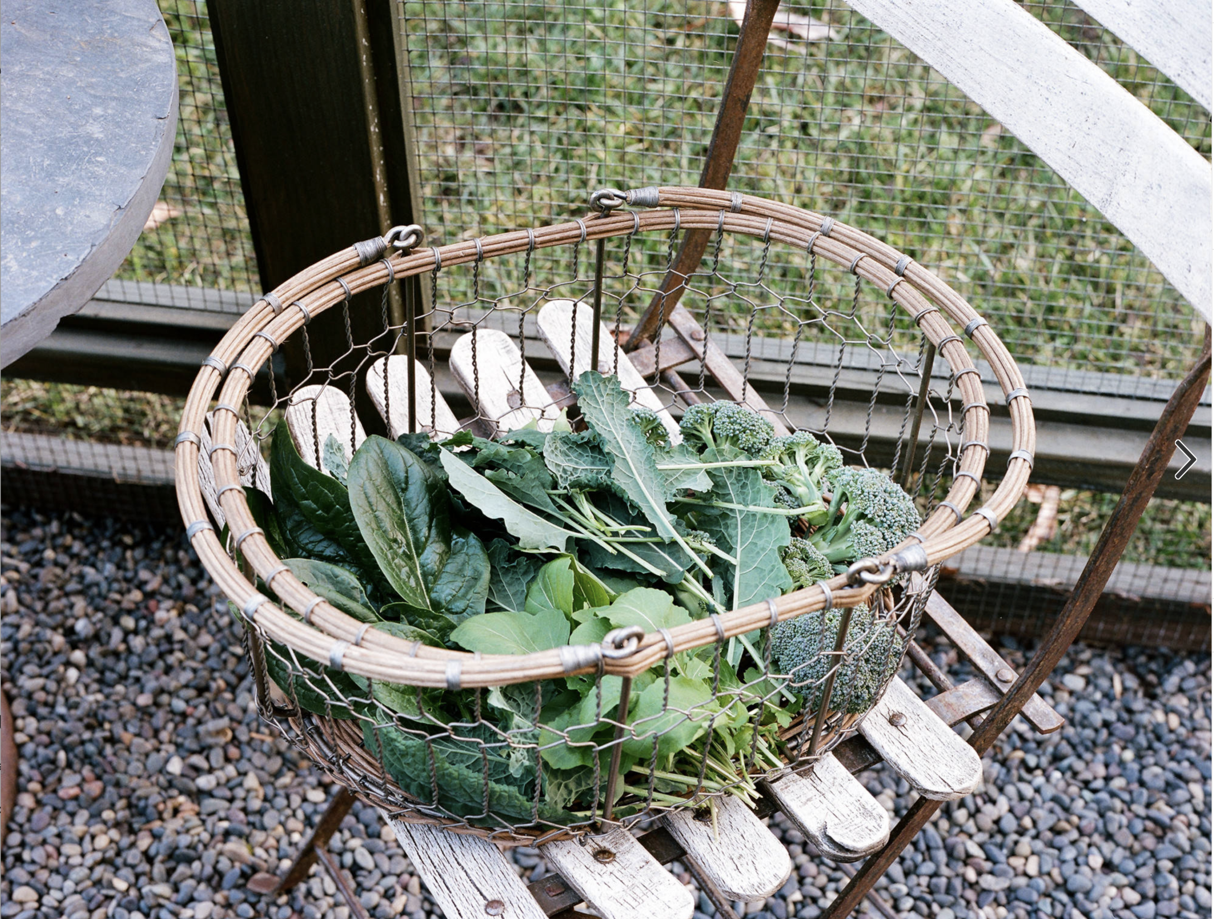 3 Chores to Do Now to Prep Your Garden for Winter and Spring
