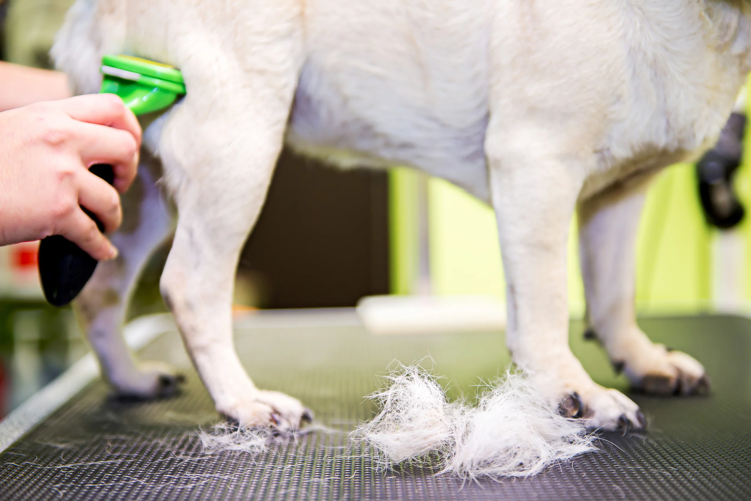 6 Simple At Home Grooming Tips