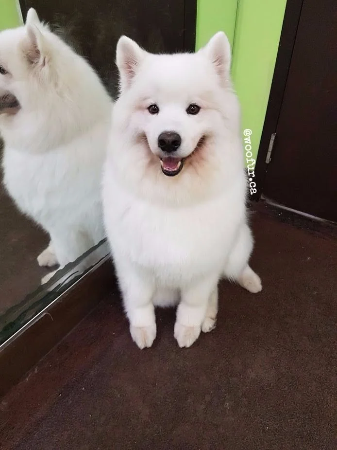 Sam_Vertical.jpg