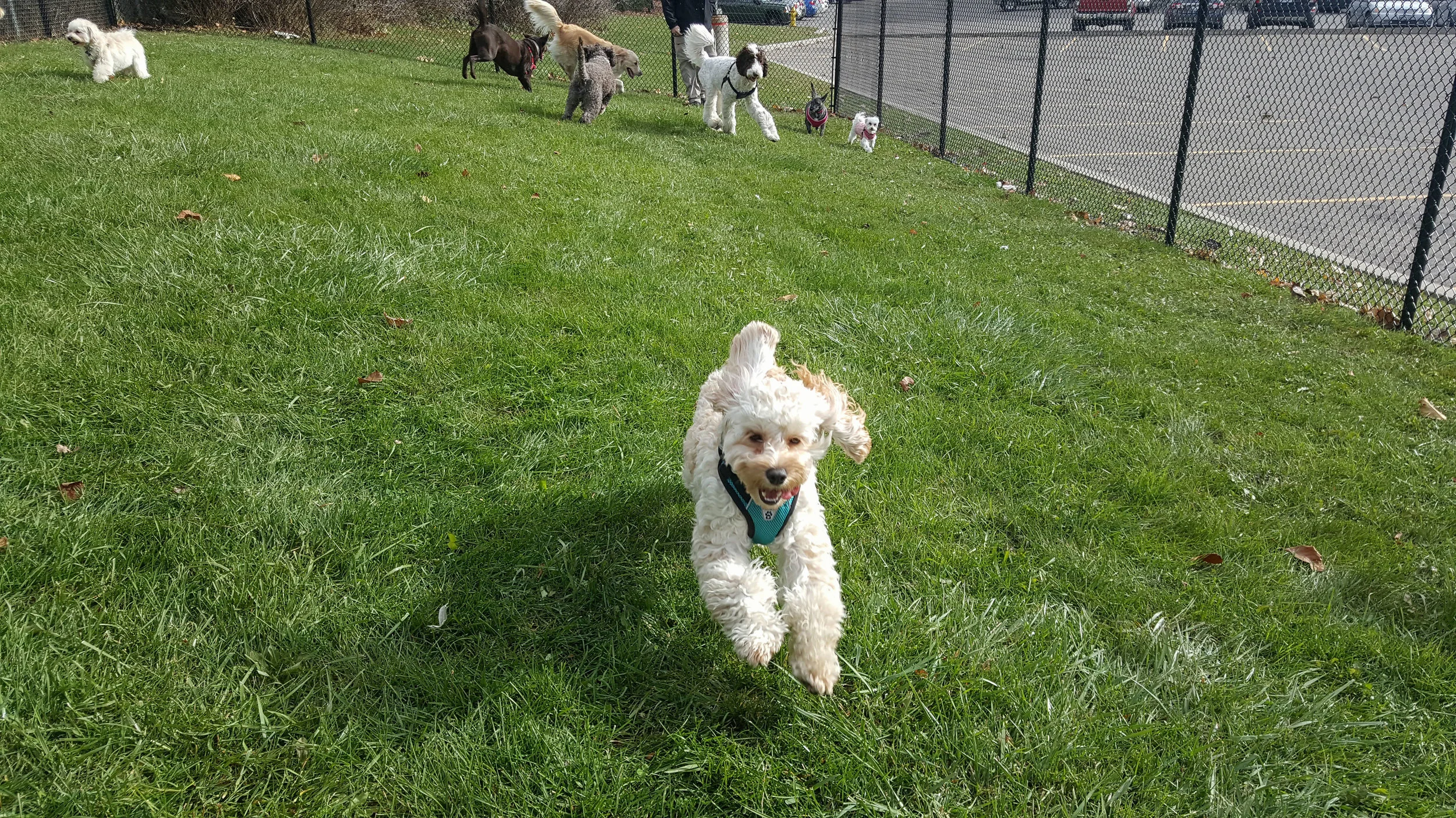 Outdoor play area fun