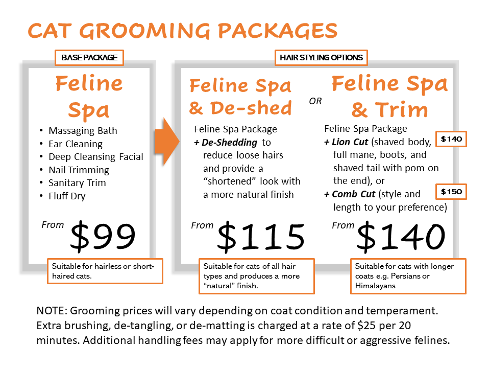 Picture Idea: Cat Grooming Rates Woofur Holistic Pet Care Centre