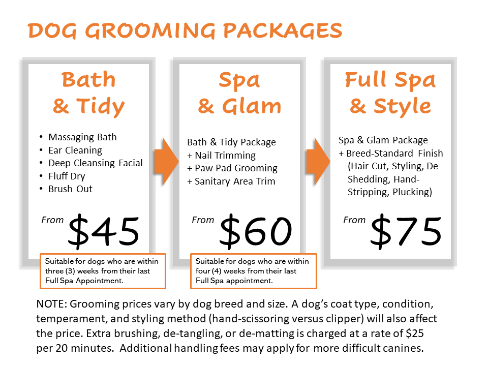 What Is The Going Rate For Dog Grooming