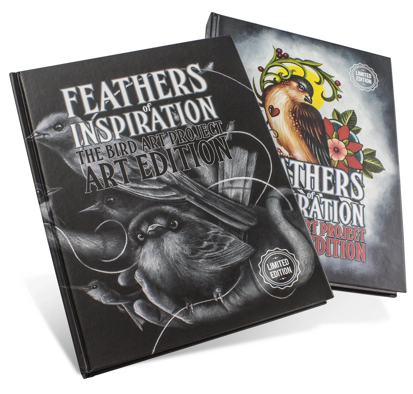 Feathers of Inspiration: The Bird Art Project