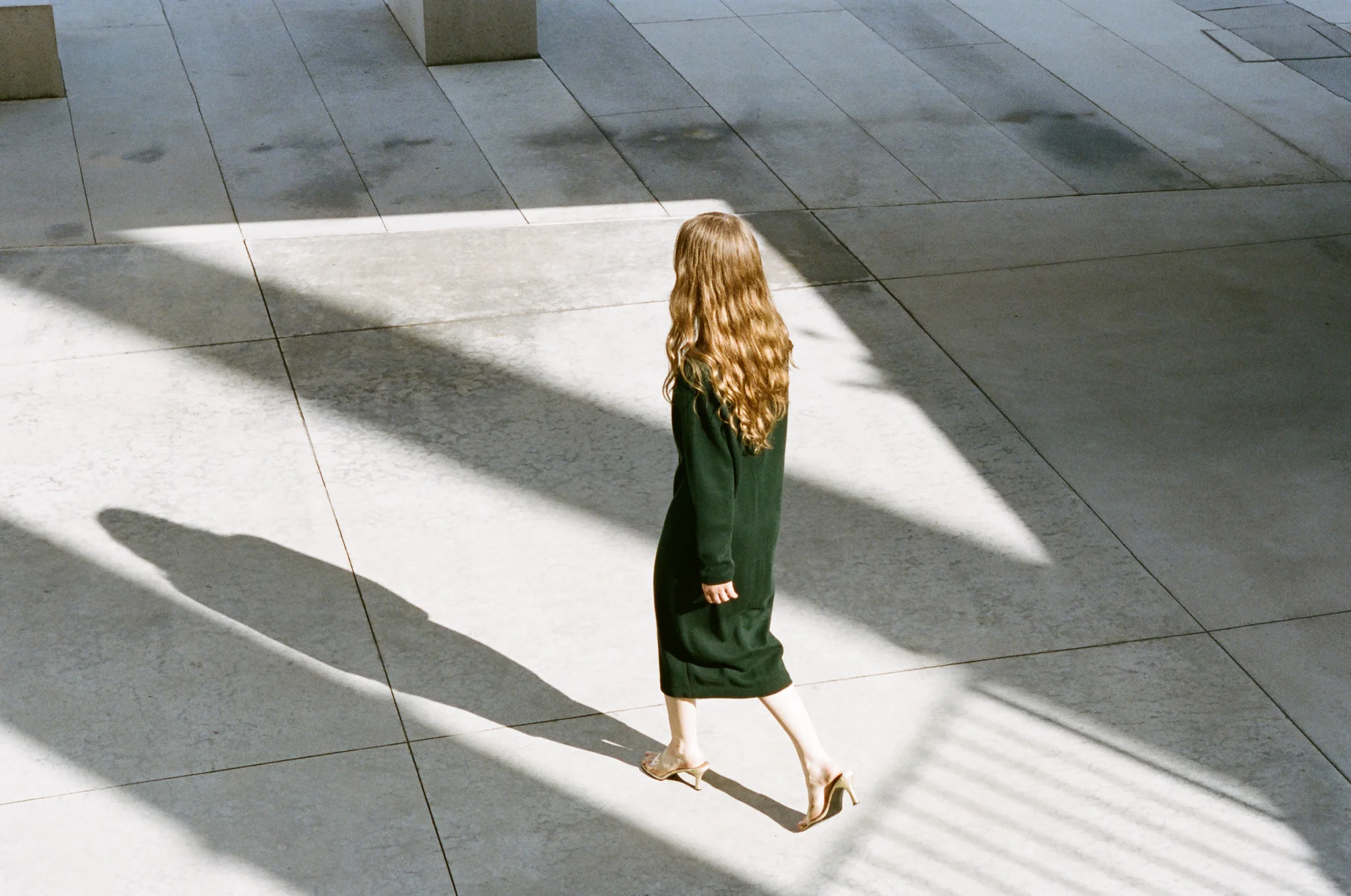 TIGER TIGER_BLUE_001.jpg