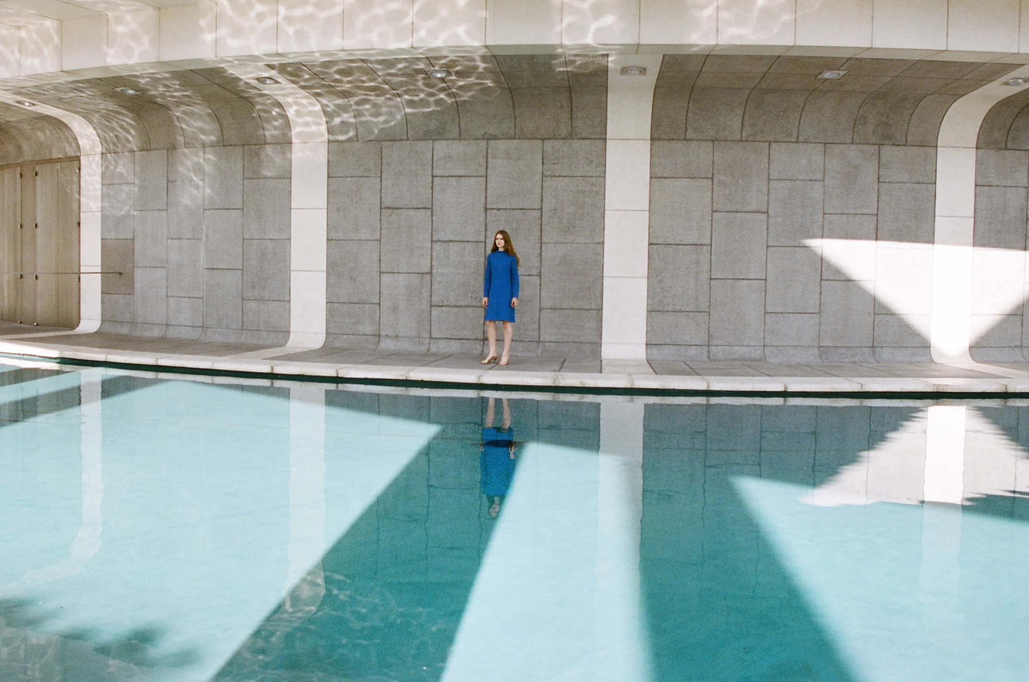 TIGER TIGER_BLUE_007.jpg