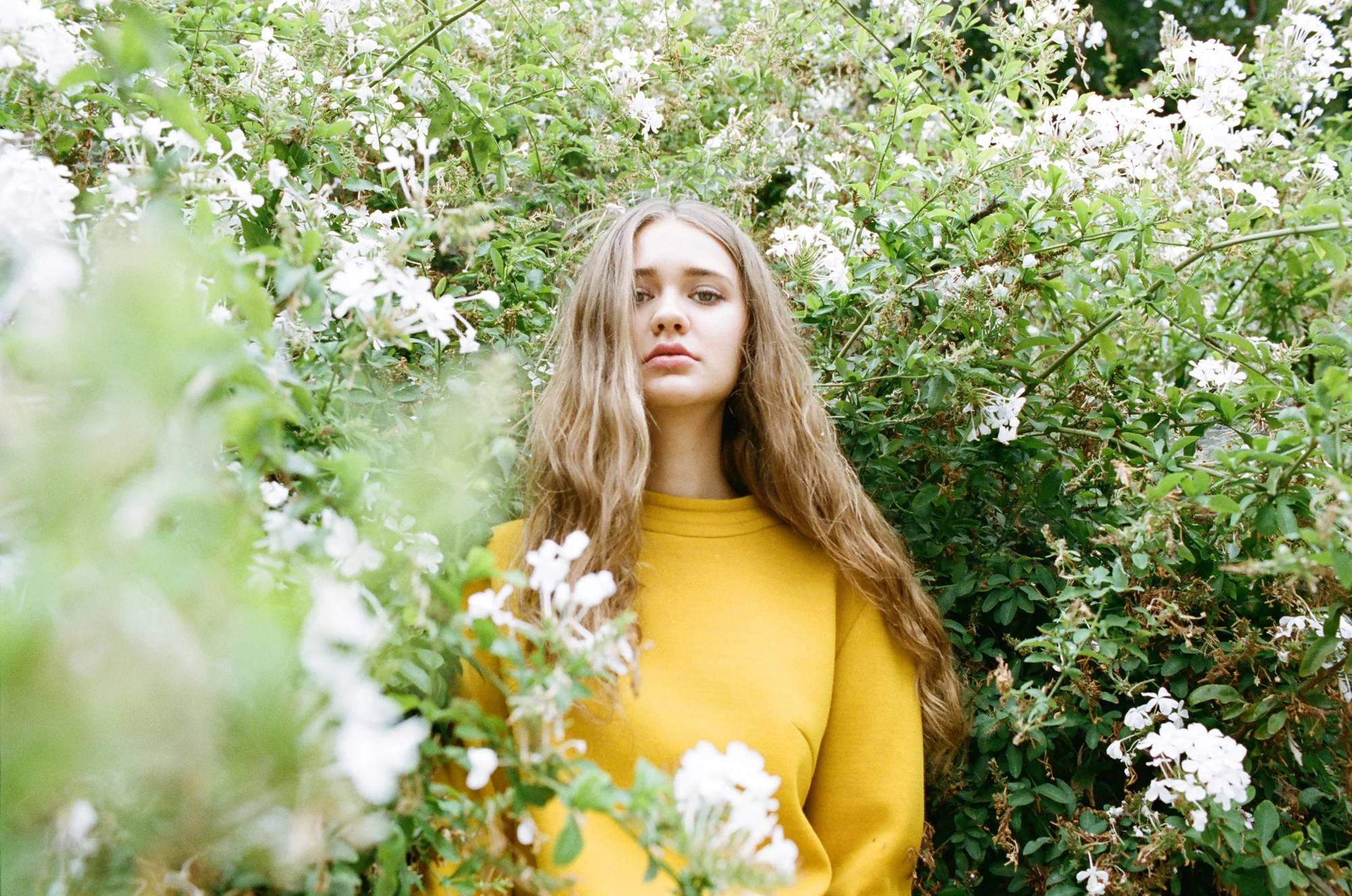 TIGER TIGER_BLUE_015.JPG