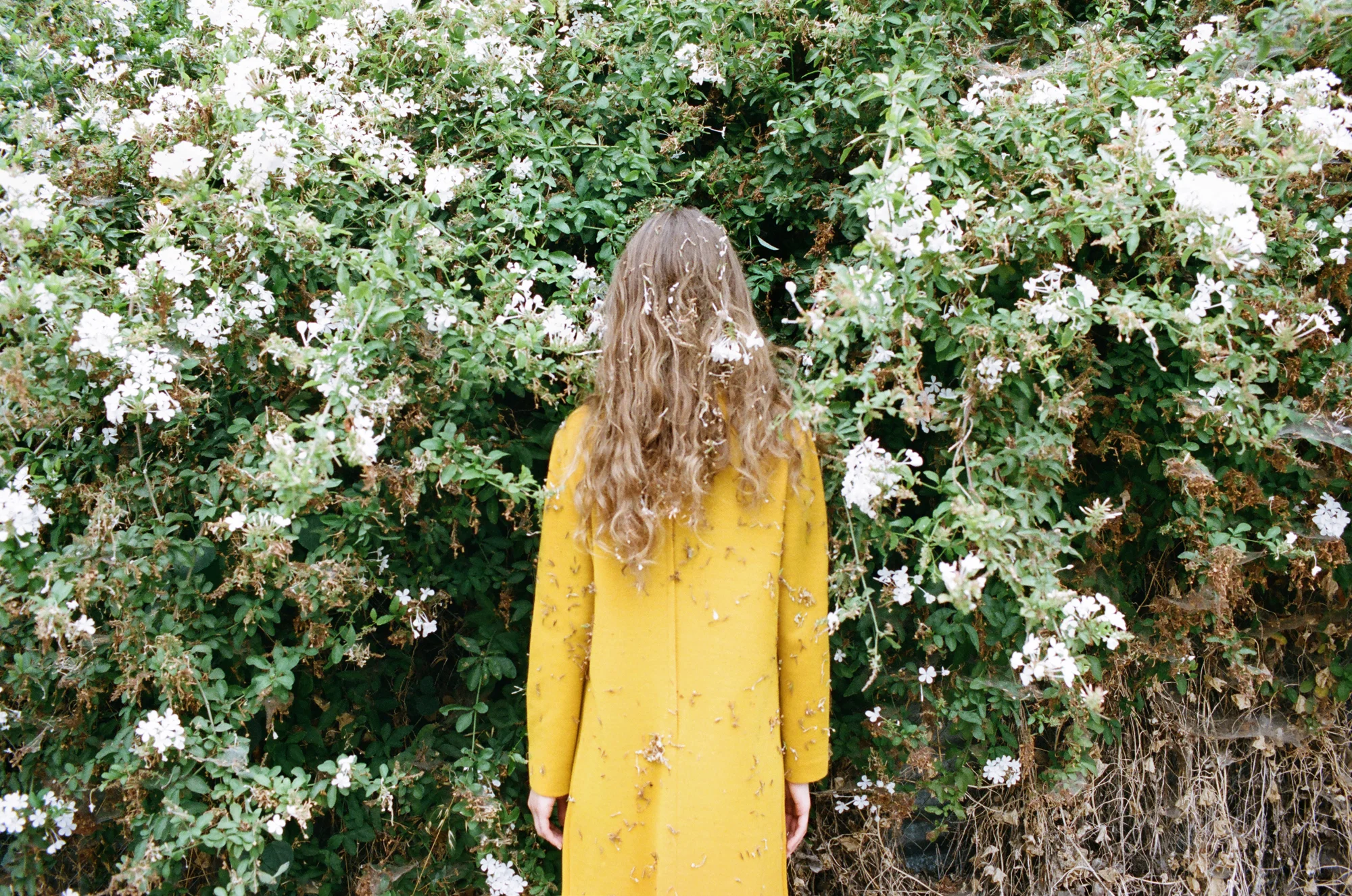 TIGER TIGER_BLUE_016.jpg