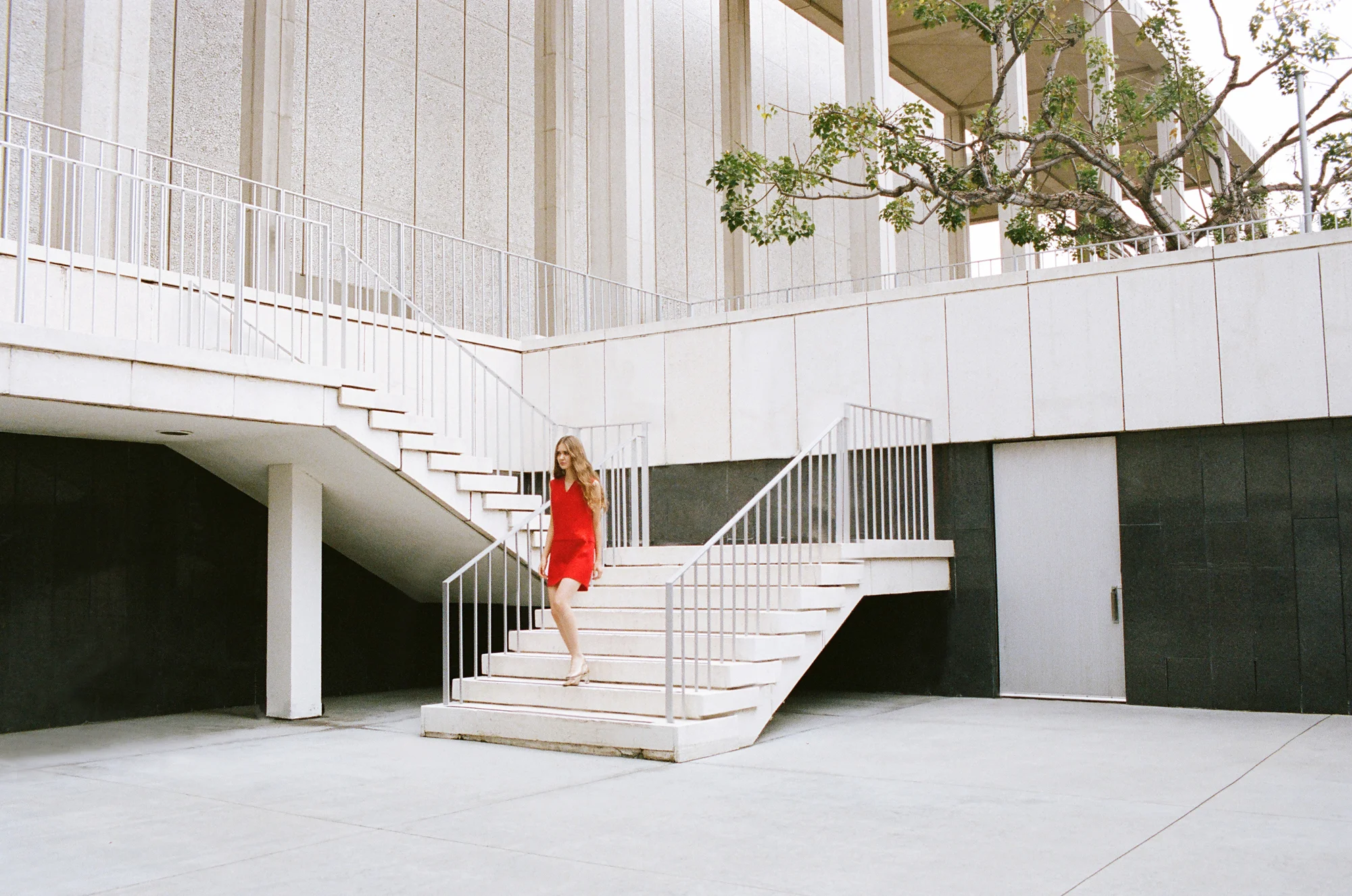 TIGER TIGER_BLUE_017.jpg