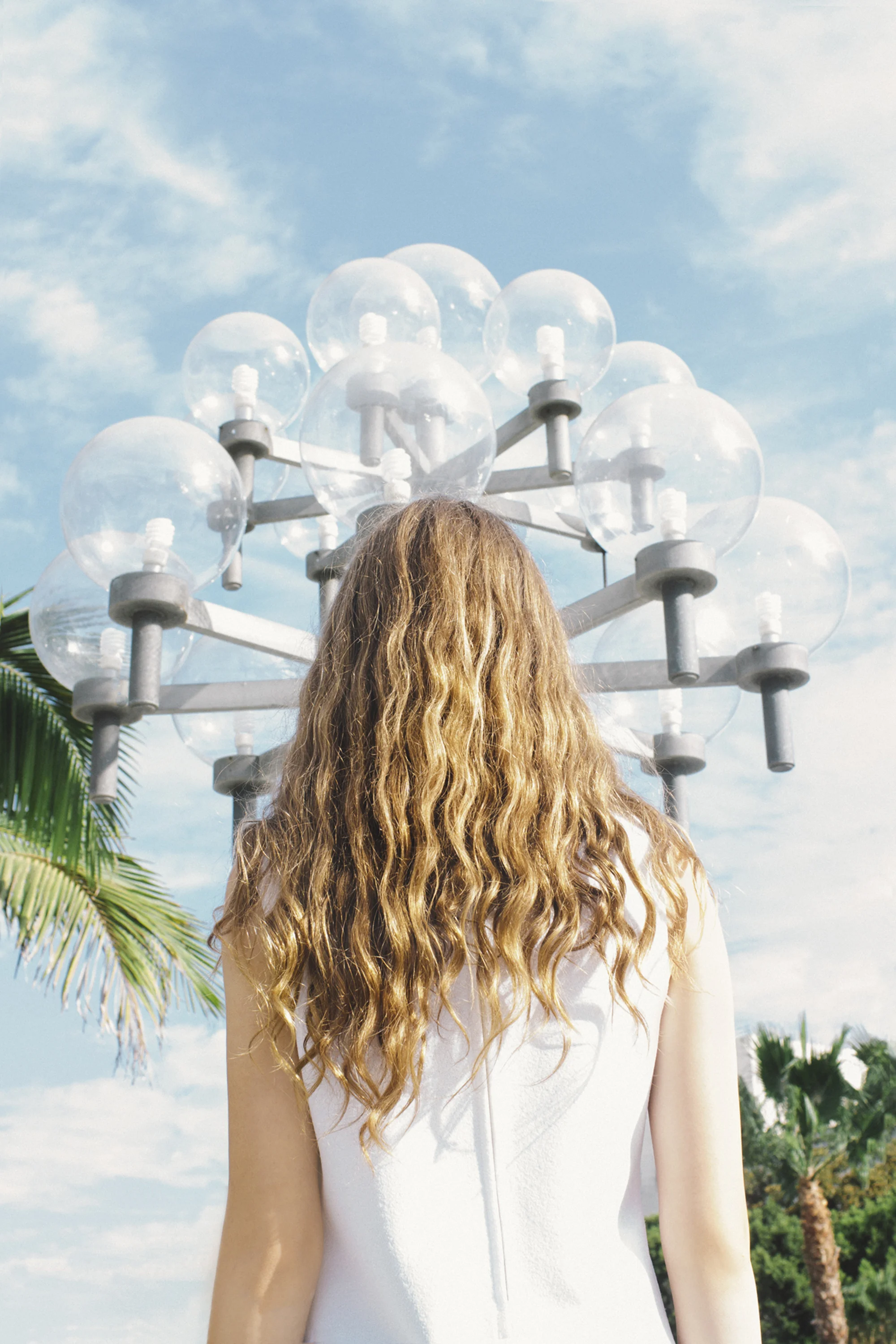 TIGER TIGER_BLUE_028.jpg