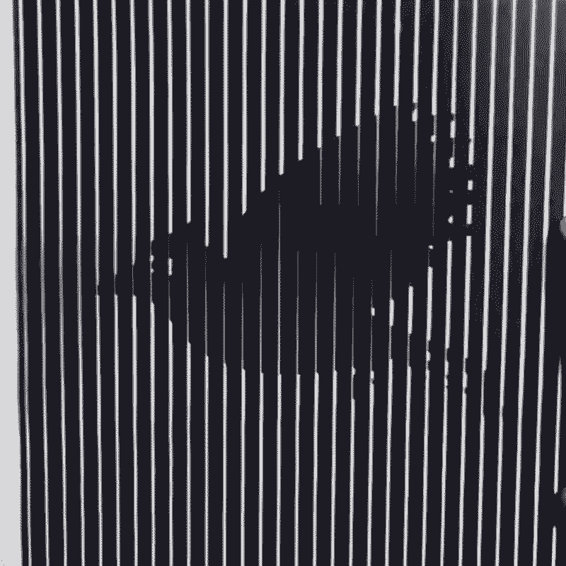 illusion-moire-bird-animation-kathleen-darby