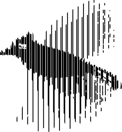 Illusion Moire Bird Animation — Kathleen Darby