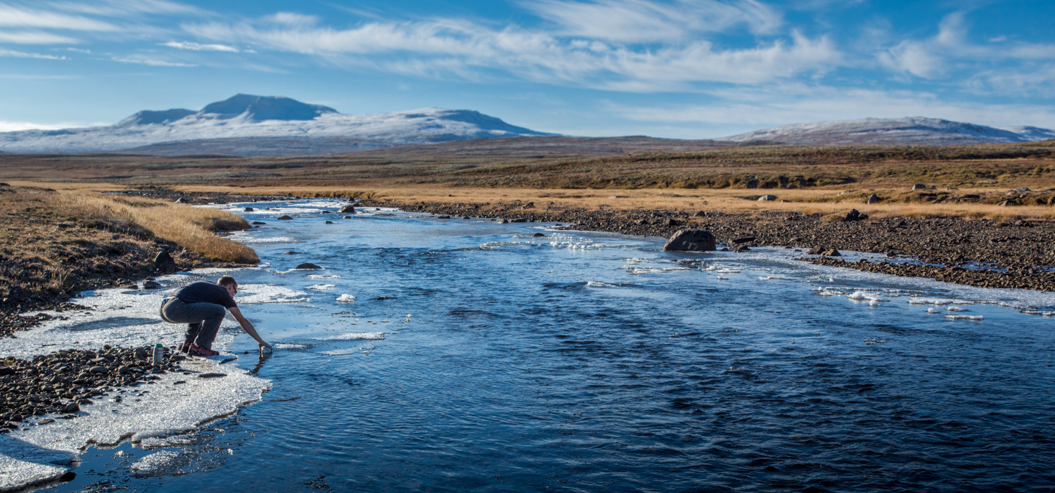 _61C0873.JPG