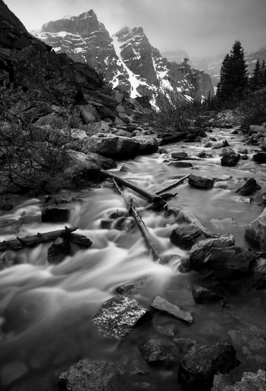 _MG_2658.jpg