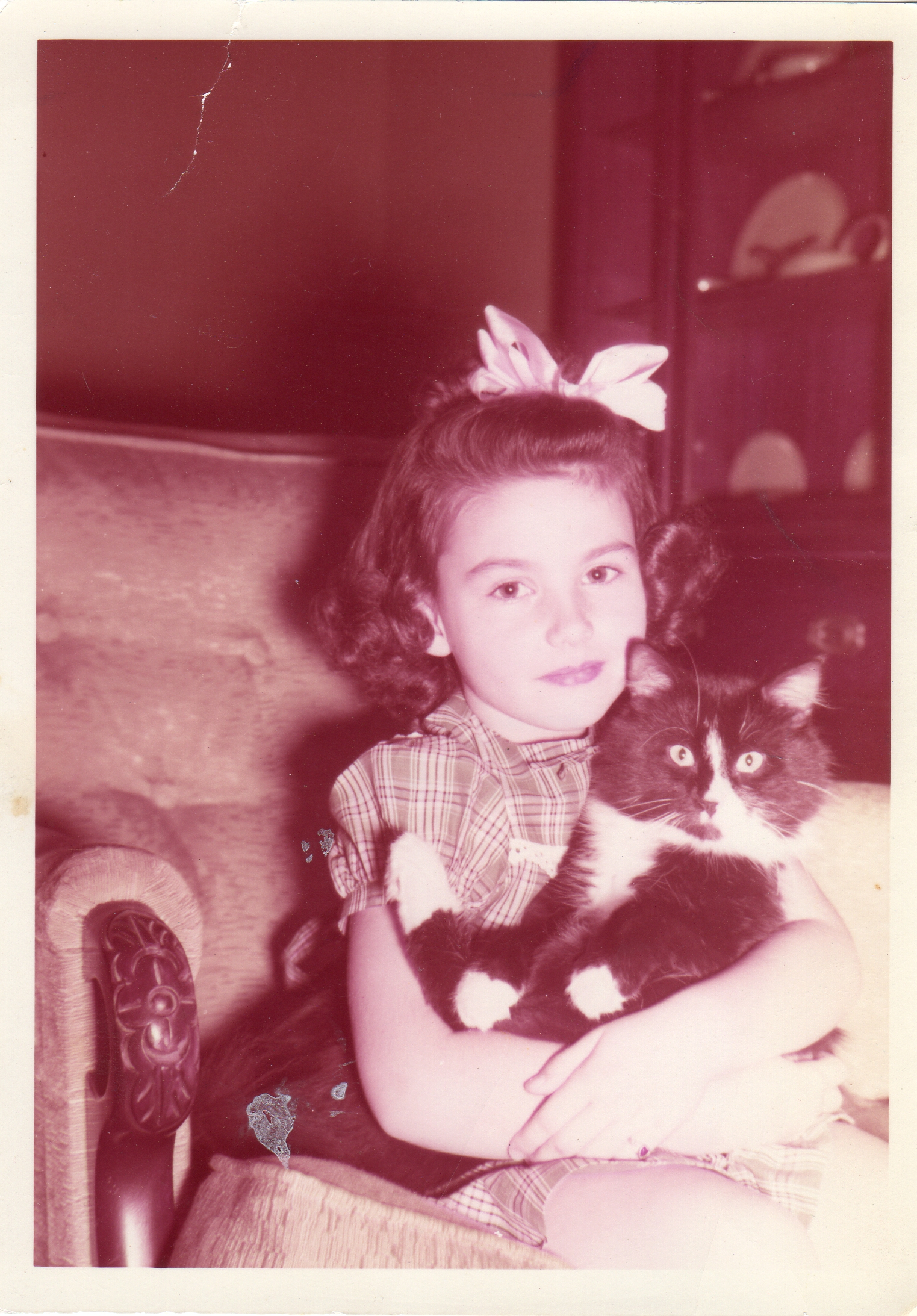 5 years old with my first cat "Toy"