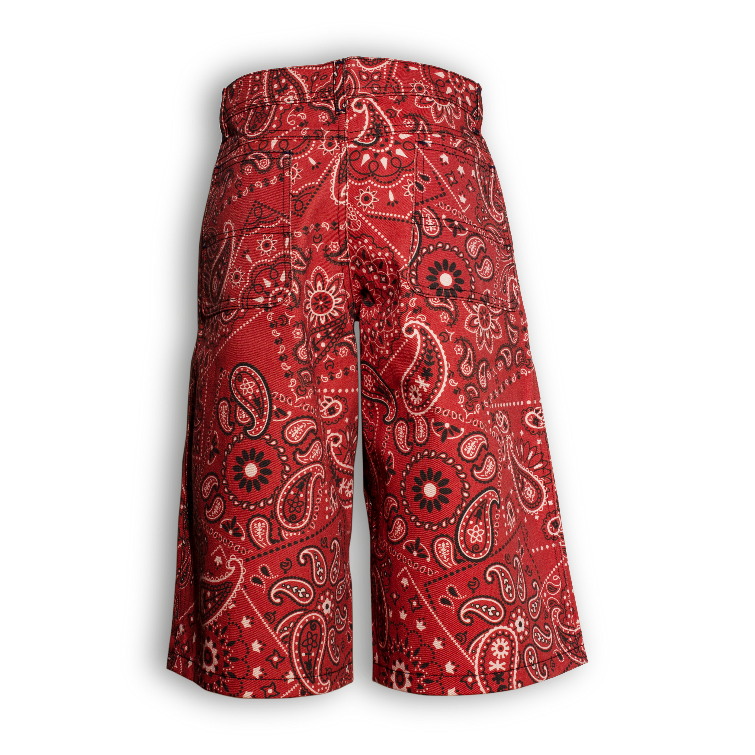 Red Paisley KK Shorts Back_1.png