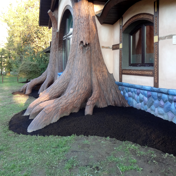 front window trees.png