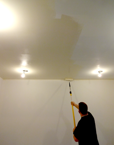 matt painting ceiling.png