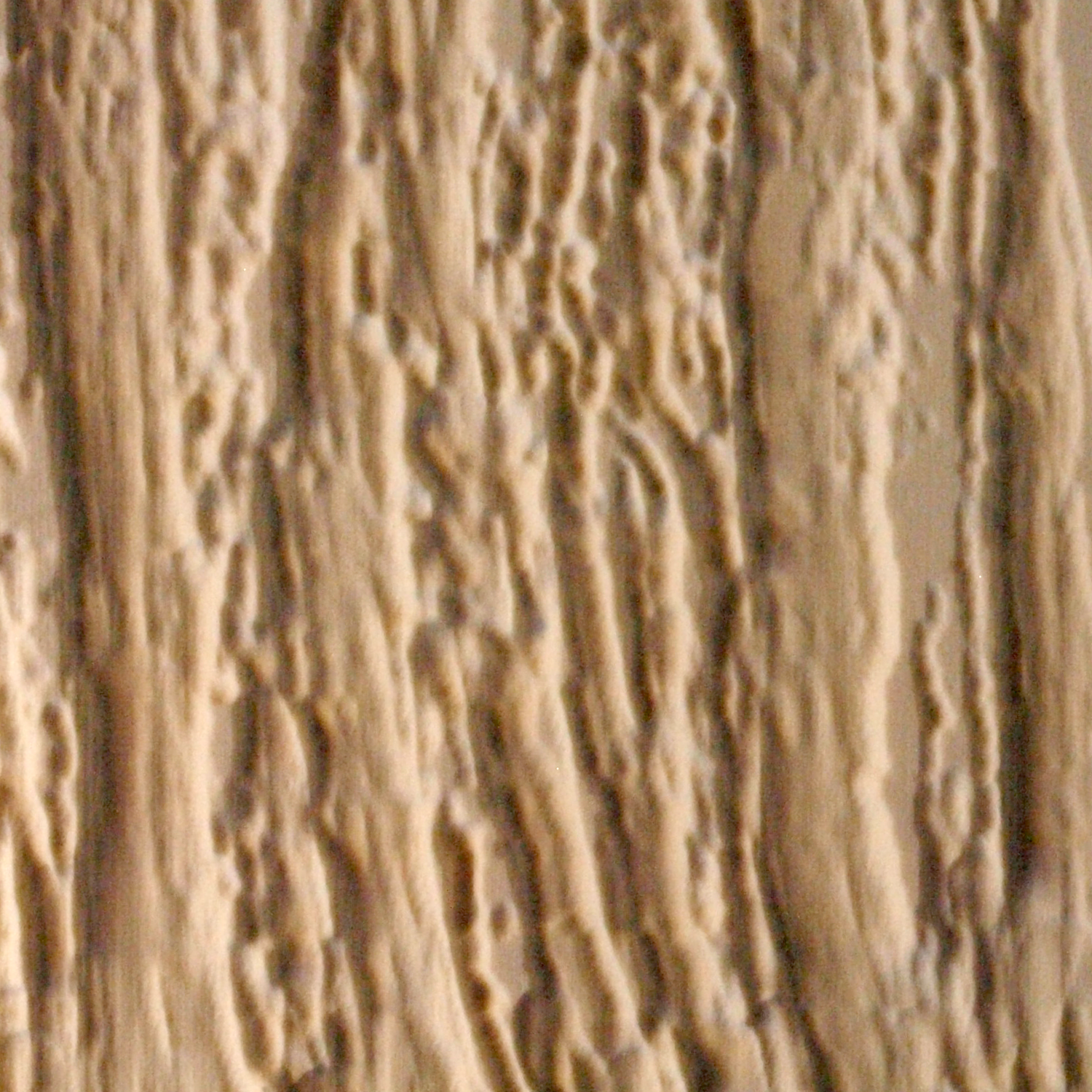 driftwood vertical.png