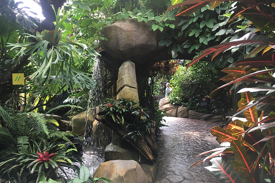 waterfall.png