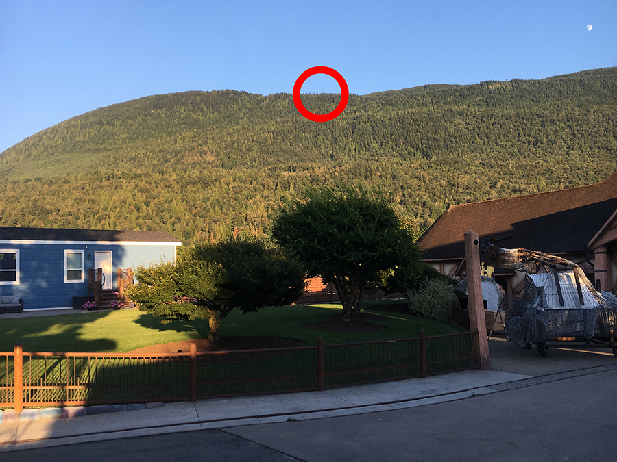 view from yard.png