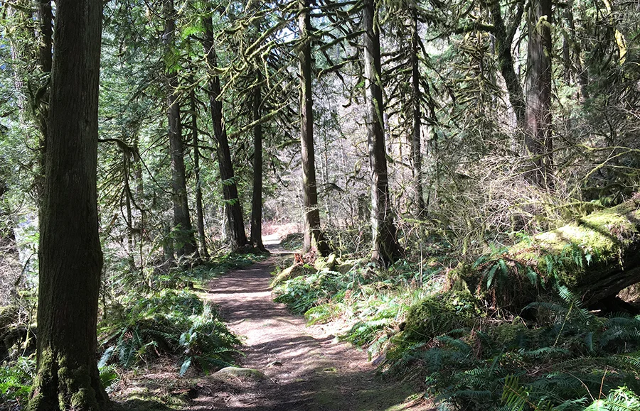 othello lower trail.jpg