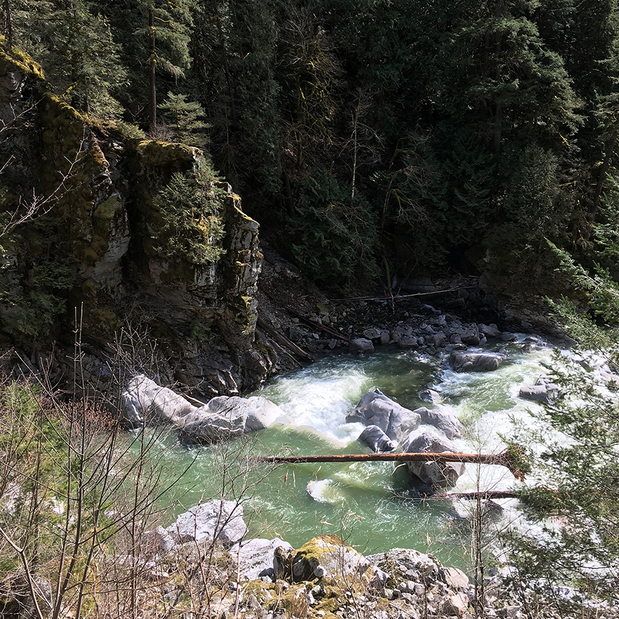 coquihala river.png