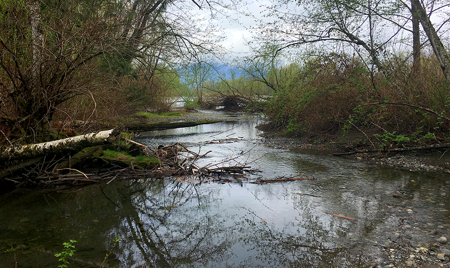 tributary.png