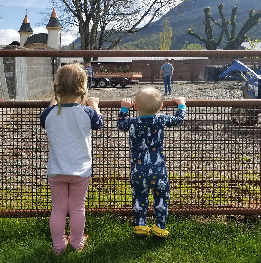 juniper and henry watching through the fence.png