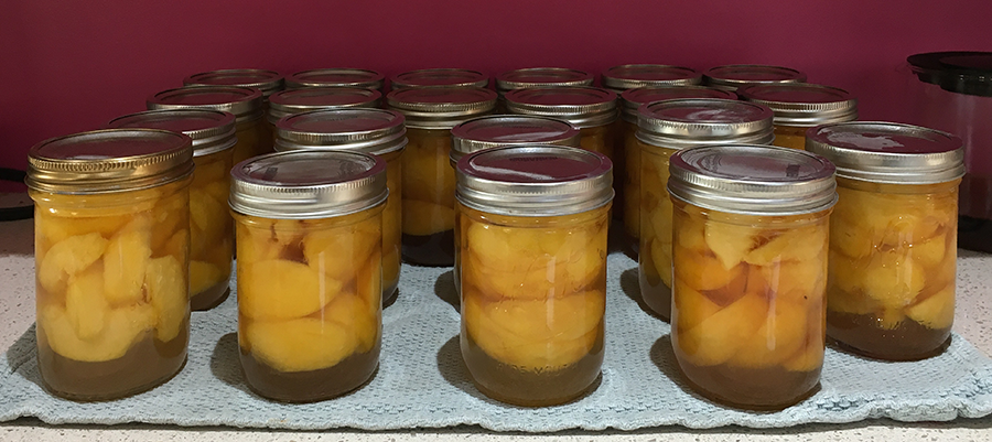 peaches.png