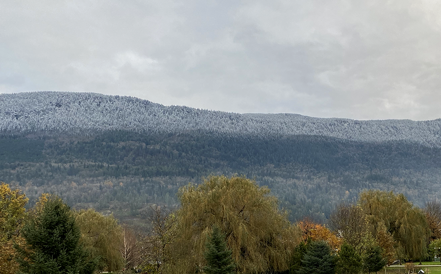 fresh snow.png