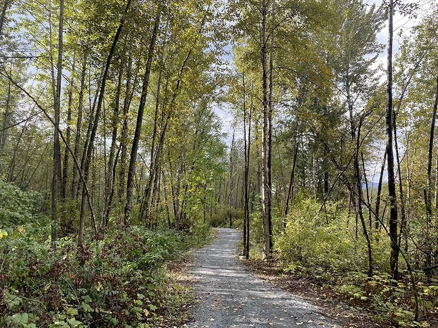 fall ride.jpg