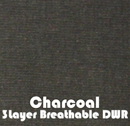 Charcoal3L.jpg