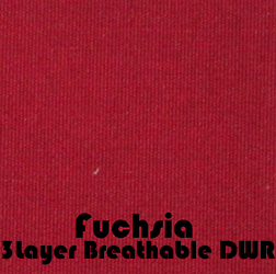 Fuchsia3L.jpg