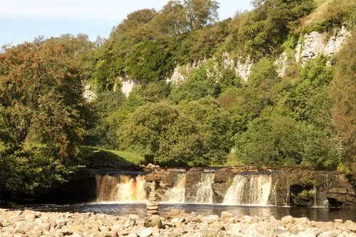 Wild Swim and Picnic