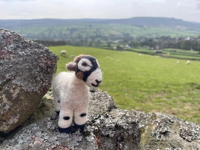 Needle Felted Sheep Workshop