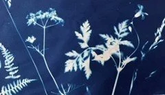 Cyanotype Printing Workshop