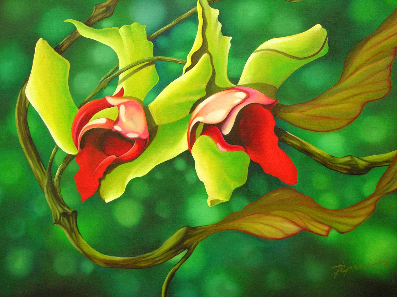 orchidias3.jpg
