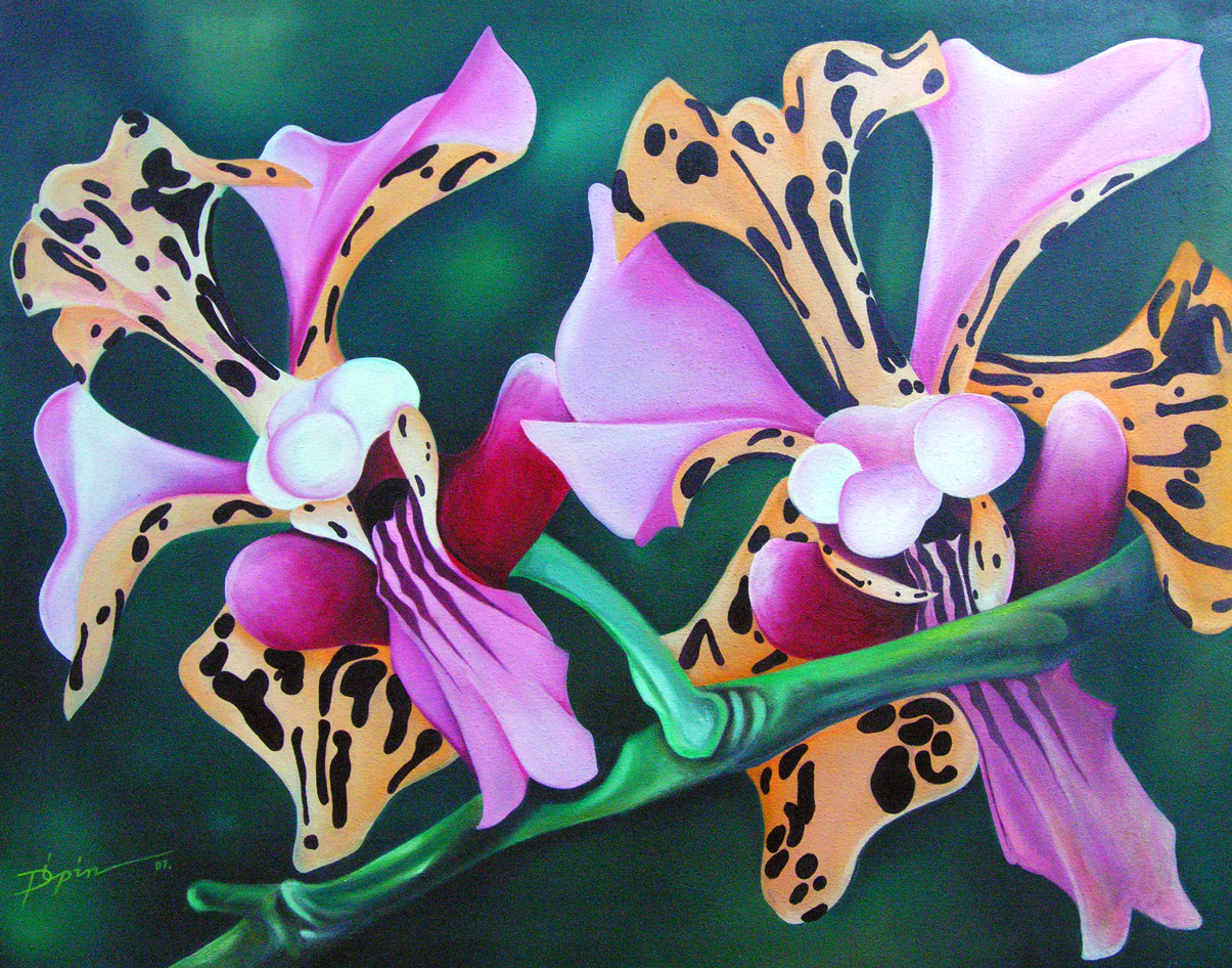 orchidias8.jpg
